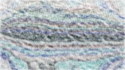 image: image from nagal series 05