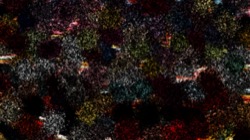 image: image from nagal series 06