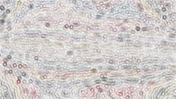 image: image from nagal series 08