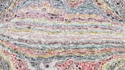 image: image from nagal series 08