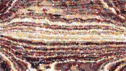 image: image from nagal series 11 liquid