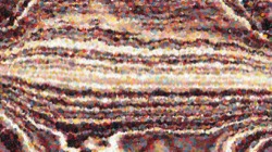 image: image from nagal series 11 liquid