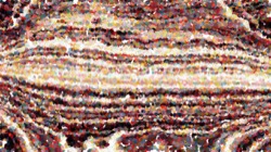 image: image from nagal series 11 liquid