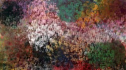 image: image from nagal series 11 liquid