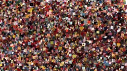 image: image from nagal series 11 liquid