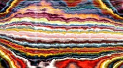 image: image from nagal series 12