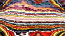 image: image from nagal series 12