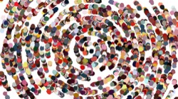 image: image from nagal series 12