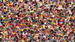 image: image from nagal series 12