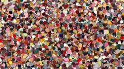 image: image from nagal series 12