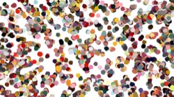 image: image from nagal series 12