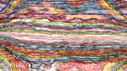 image: image from nagal series 13