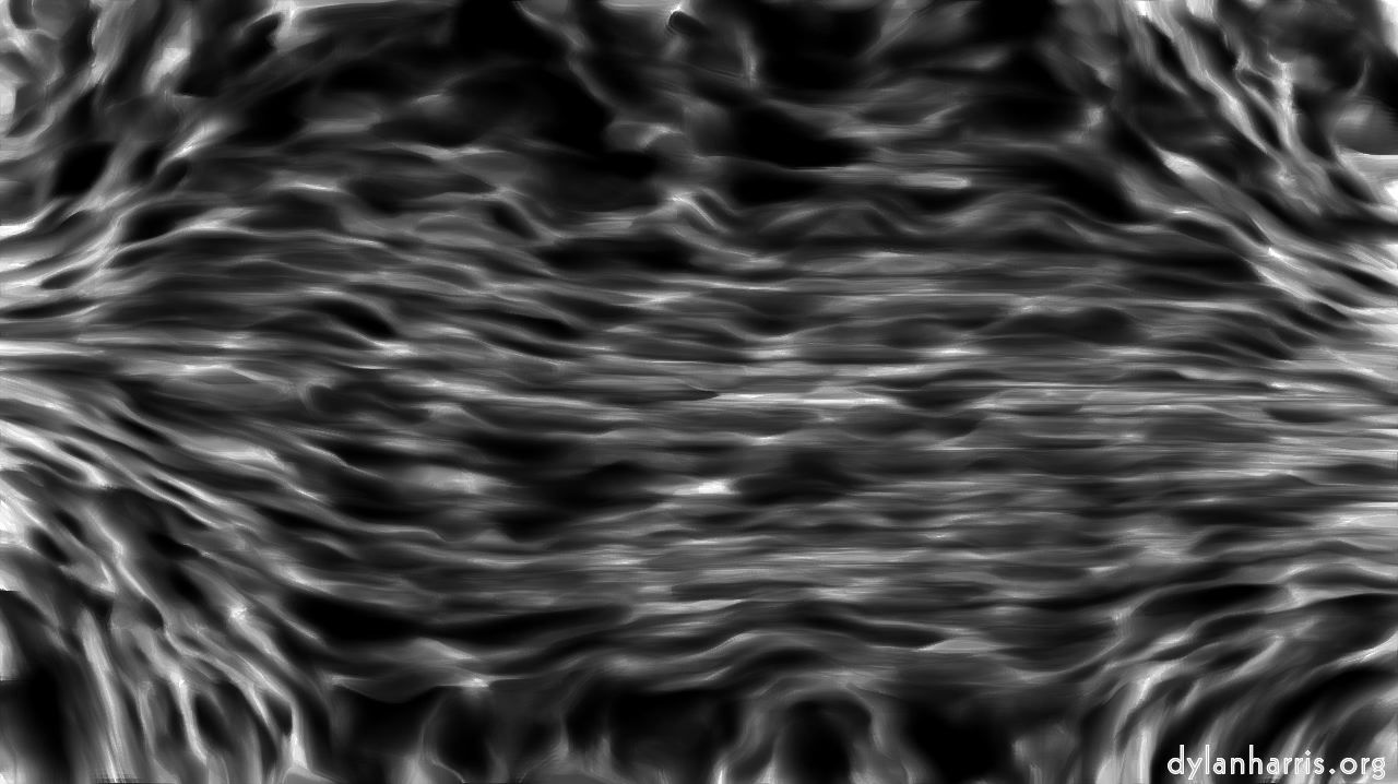 image: aaa tucker :: veilbw