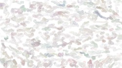 image: image from aaa tucker