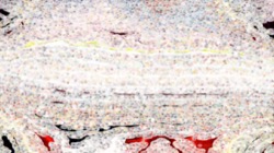 image: image from aaa tucker