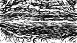 image: image from aaa tucker