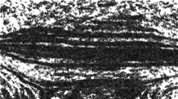 image: image from aaa tucker