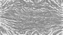 image: image from aaa tucker