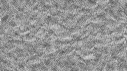 image: image from aaa tucker