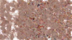 image: image from aaa tucker