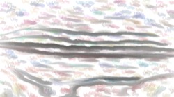 image: image from aaa tucker