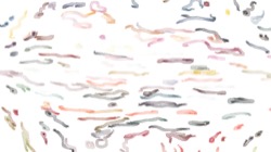 image: image from aaa tucker