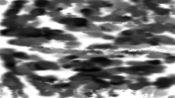 image: image from hj maxset 07