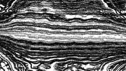 image: image from hj maxset 29