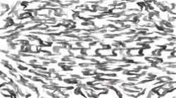 image: image from hj maxset 29