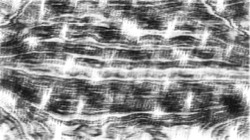 image: users&nbsp;1 thumbnail