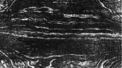 image: image from hj maxset 37a