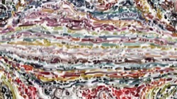 image: image from jdn favourites by others