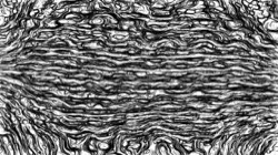 image: image from jdn good for video