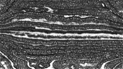 image: image from mark presets 3