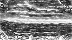 Image: image from 3.0 wacom intuos demo