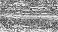 Image: image from 3.0 wacom intuos demo