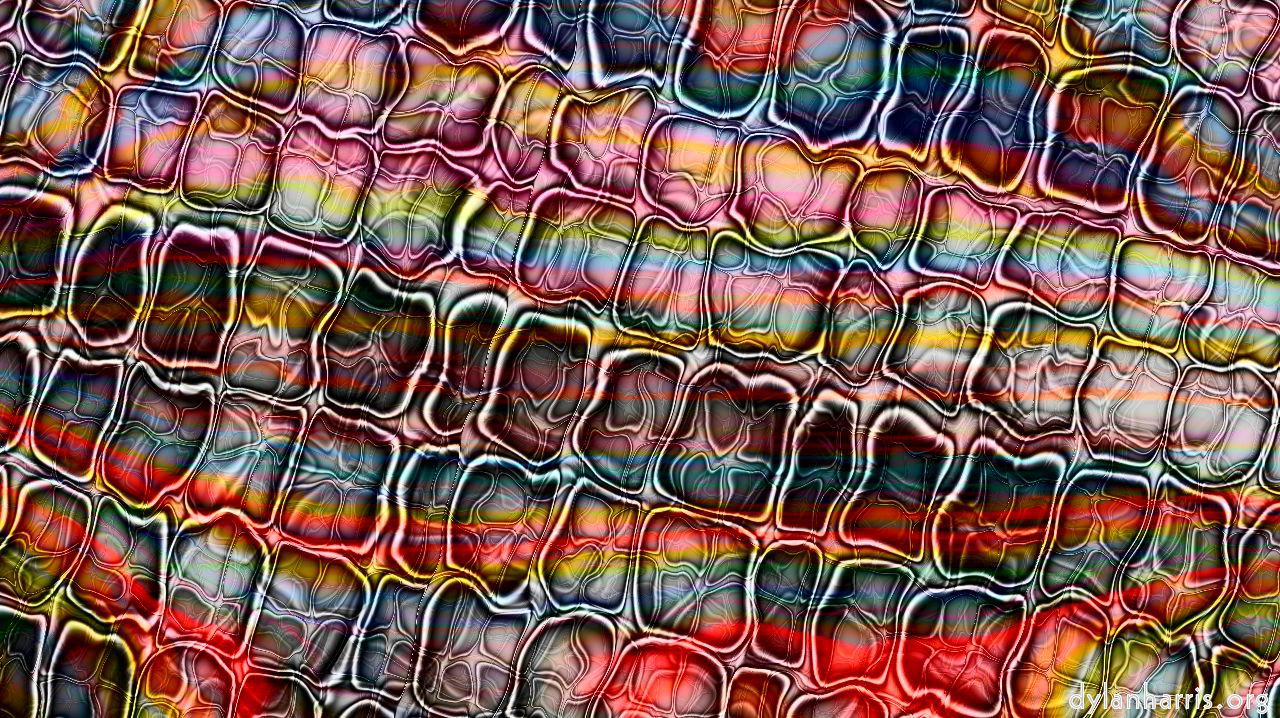 image: animal self&ndash;awareness