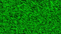 image: image from colourise