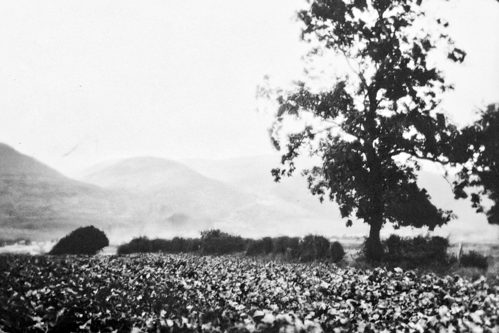 image: This is &lsquo;generations&nbsp;(i)&nbsp;35&rsquo;.