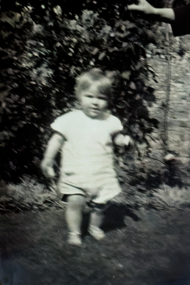 image: This is &lsquo;Dinah&rsquo;.