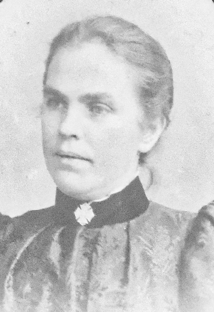 image: This is &lsquo;Annie Price&rsquo;.