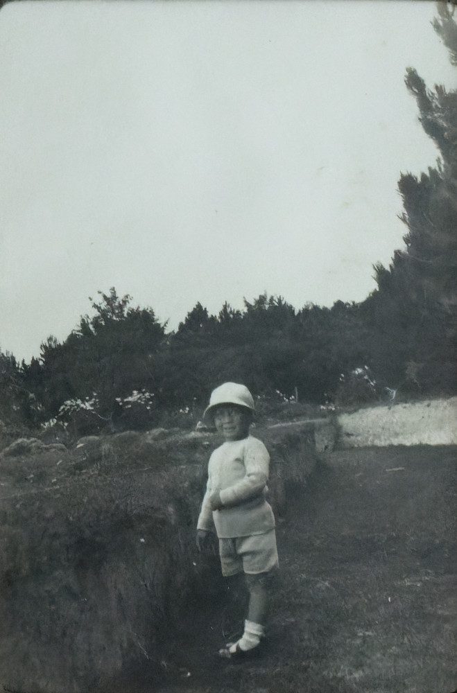 image: This is &lsquo;generations&nbsp;(i)&nbsp;29&rsquo;.