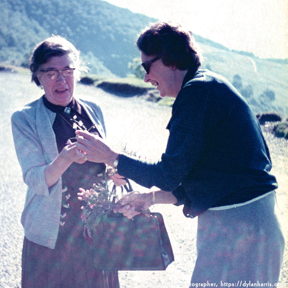 image: This is &lsquo;photographer&nbsp;x&nbsp;(i)&nbsp;2&rsquo;.