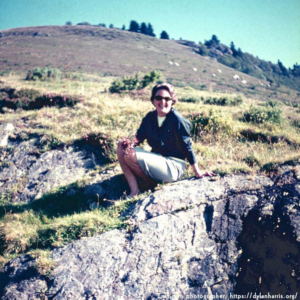 image: This is &lsquo;photographer&nbsp;x&nbsp;(i)&nbsp;4&rsquo;.