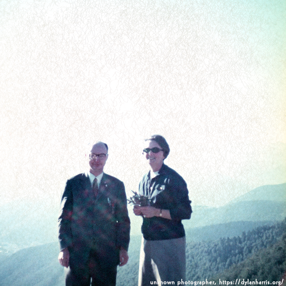 image: This is &lsquo;photographer&nbsp;x&nbsp;(i)&nbsp;6&rsquo;.