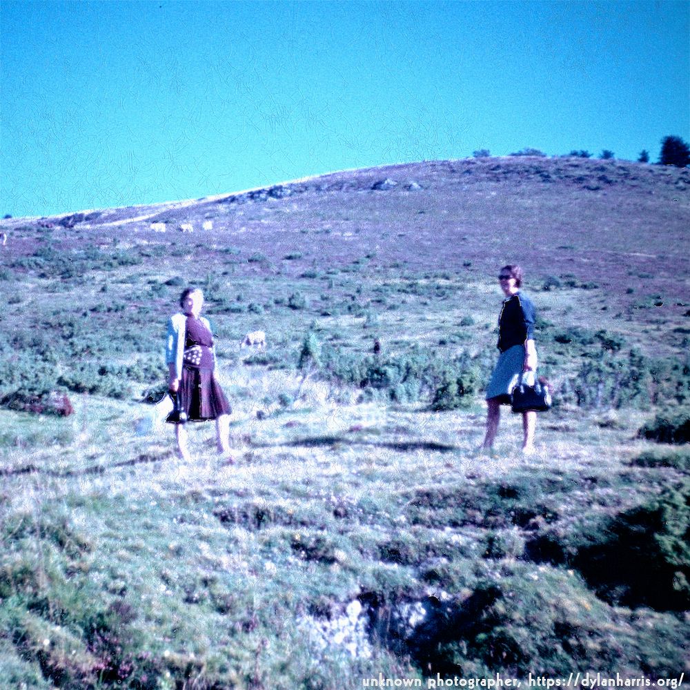 image: This is &lsquo;photographer&nbsp;x&nbsp;(i)&nbsp;7&rsquo;.