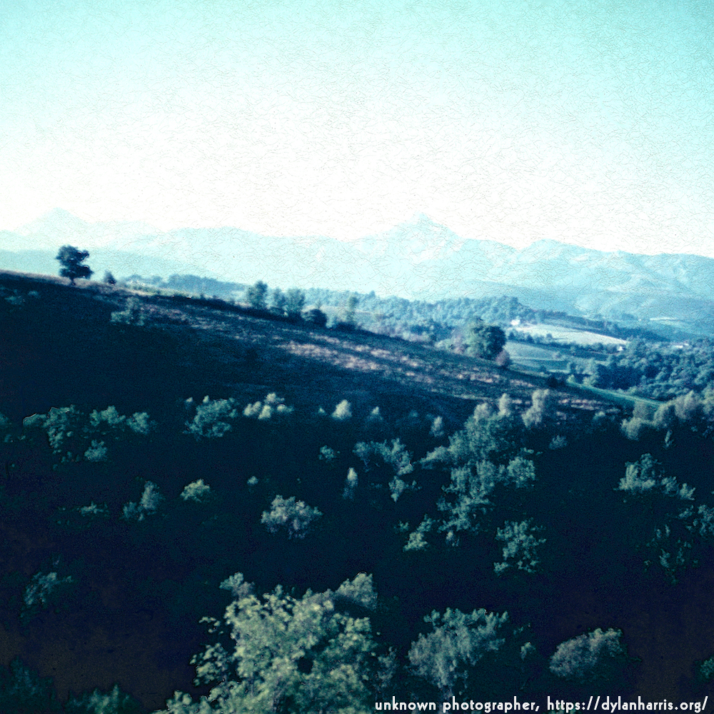 image: This is &lsquo;photographer&nbsp;x&nbsp;(i)&nbsp;8&rsquo;.