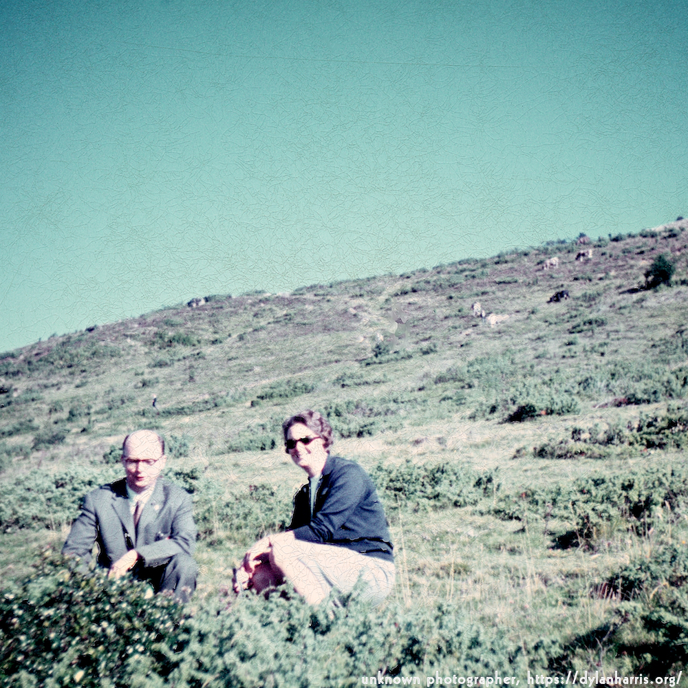 image: This is &lsquo;photographer&nbsp;x&nbsp;(i)&nbsp;9&rsquo;.