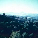 image: Image from the photoset &lsquo;photographer&nbsp;x&nbsp;(i)&rsquo;.