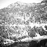 image: Image from the photoset &lsquo;photographer&nbsp;x&nbsp;(xi)&nbsp;a)&rsquo;.